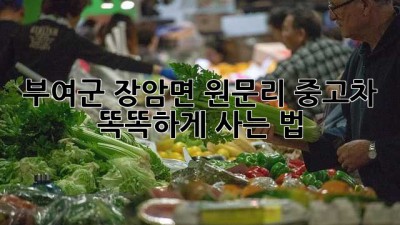 부여군 장암면 원문리 중고차, 똑똑하게 사는 법! 🚗✨